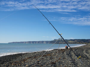 choisir sa canne pour pecher en surfcasting