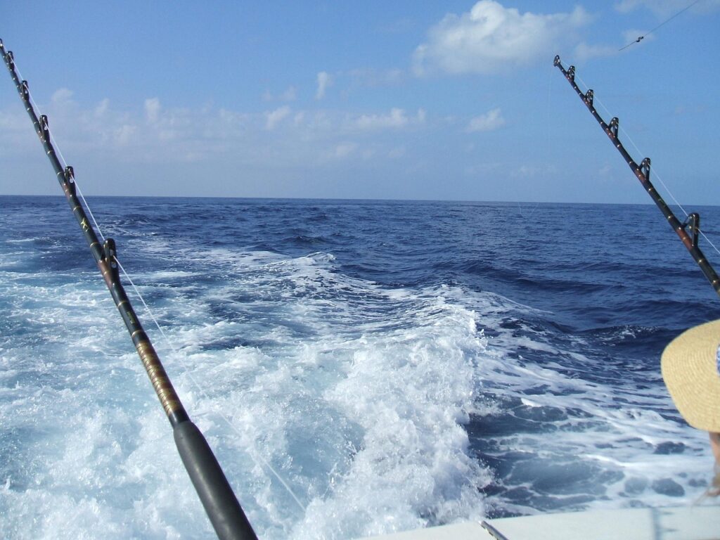 meilleurs spots marlin