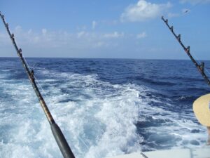 meilleurs spots marlin