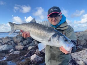 choisir leurre pêche bar bord