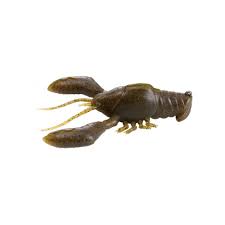 sleeper craw