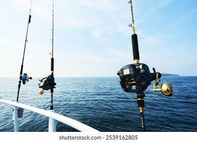 ensemble moulinet canne pas cher mer