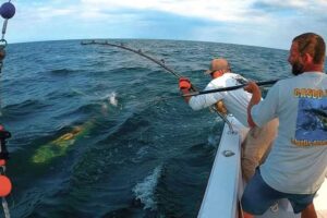 moulinet pêche thon