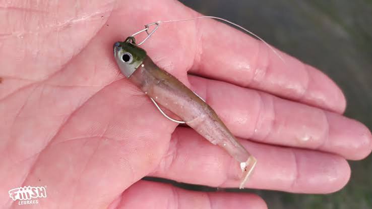 black minnow pour la pêche du bar