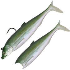 breizh shad